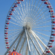 Illustration for article titled Report: 40,000 People Died On Ferris Wheels This Summer